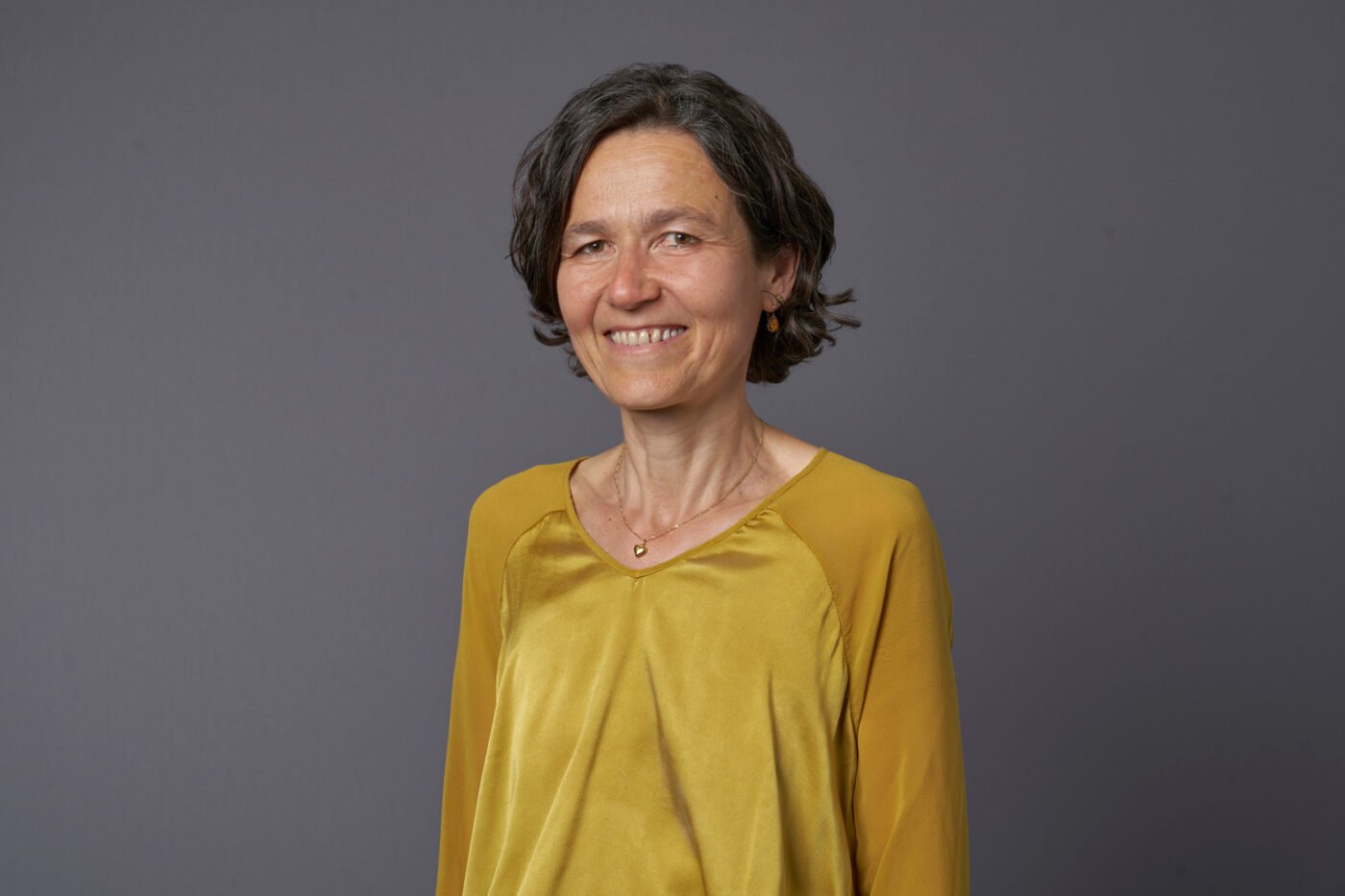 23 CSI Consulting 3 B Sueess 107673 P F Web